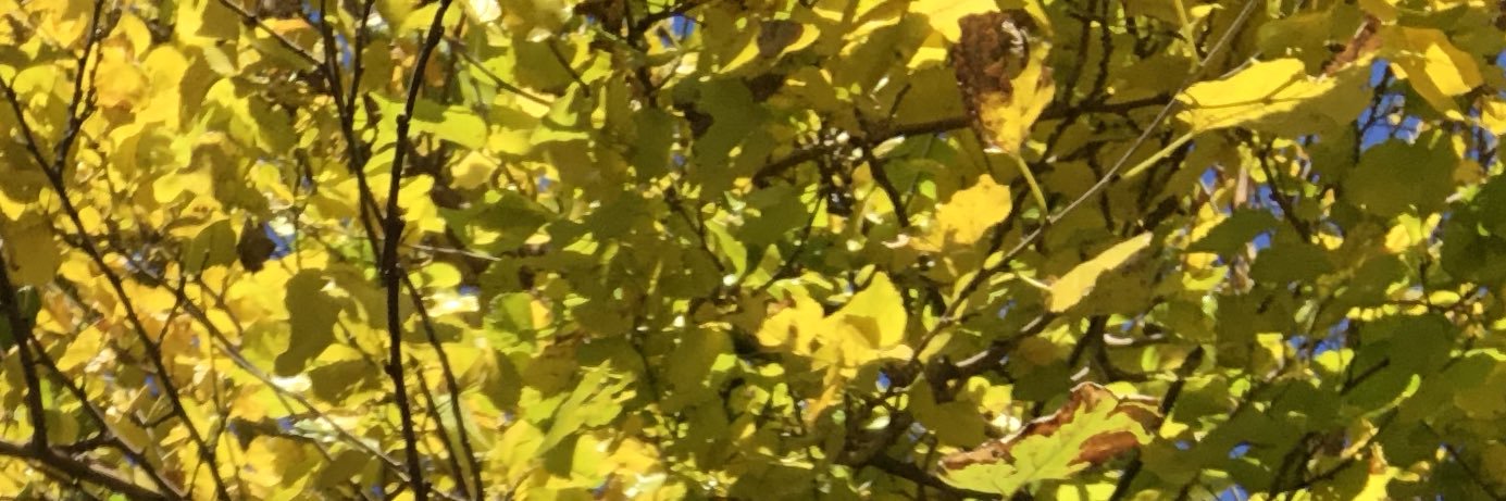 frandnf's profile banner image