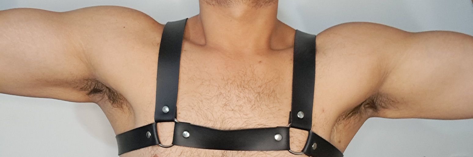 BeardedSex's profile banner image