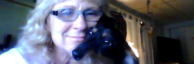 hollyrohrbach's profile banner image