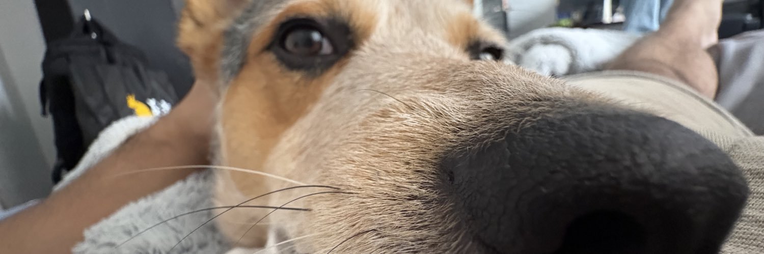 Caghuama_'s profile banner image