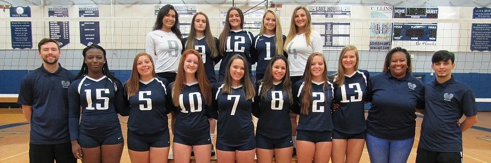 LH_Volleyball's profile banner image