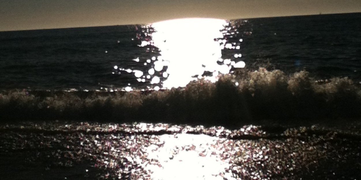 madiepingree's profile banner image