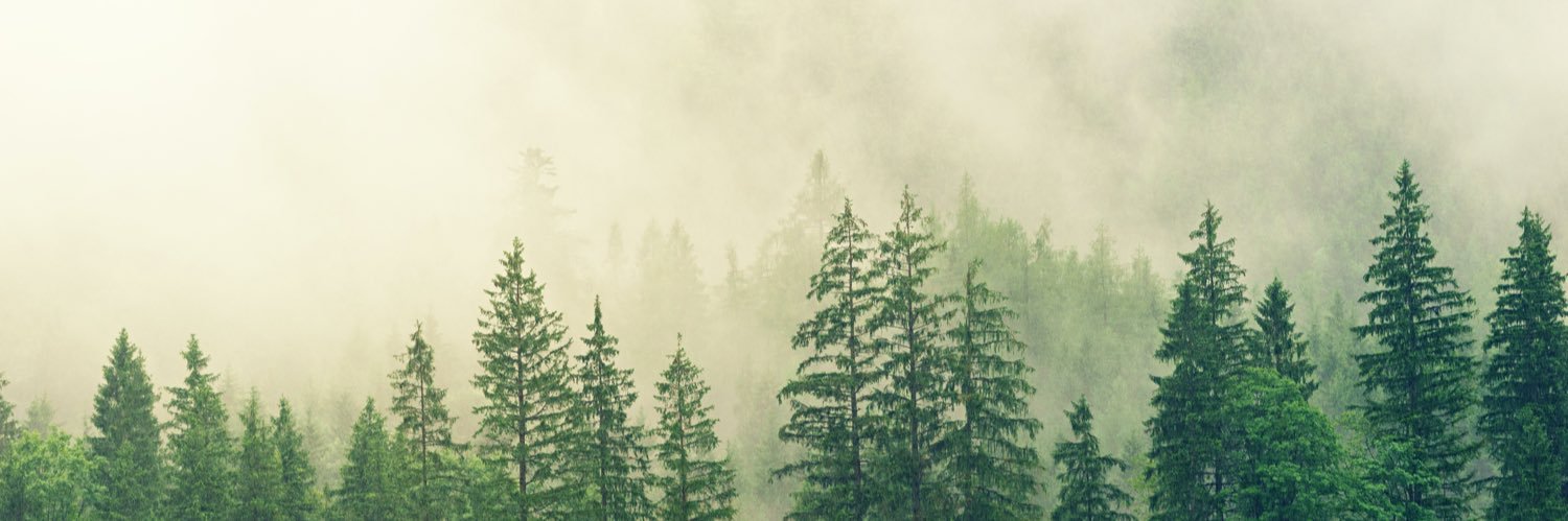 valerzn's profile banner image
