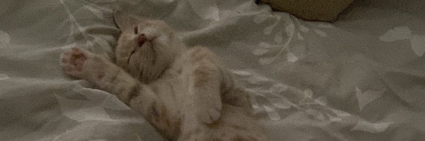 blanchelamboley's profile banner image