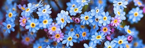 _souzac_'s profile banner image