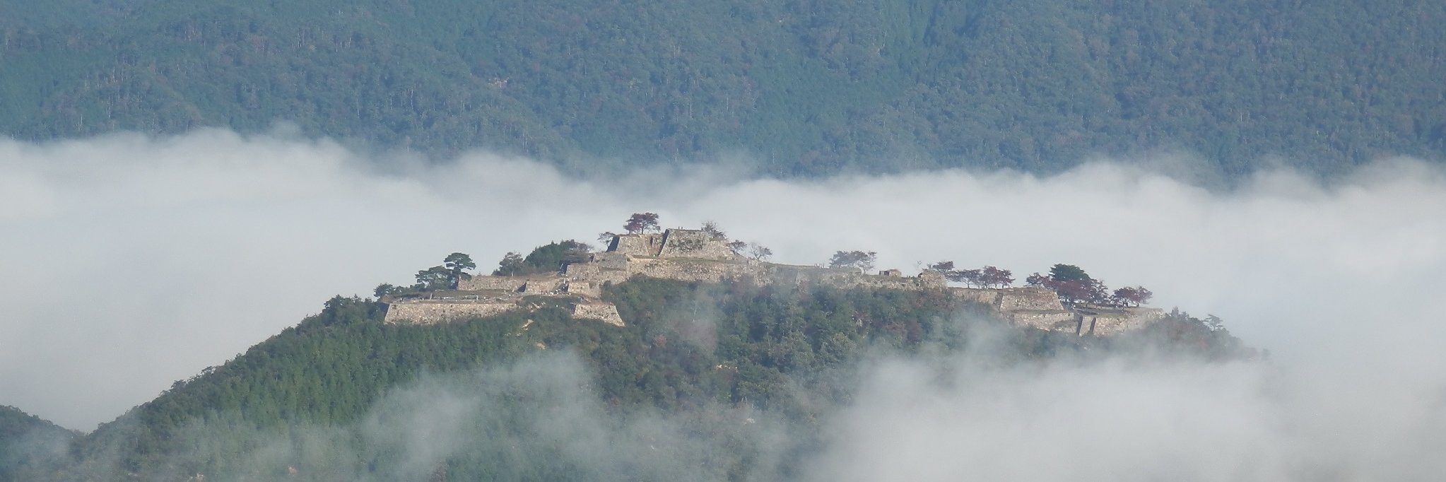 Orix_Tigers's profile banner image