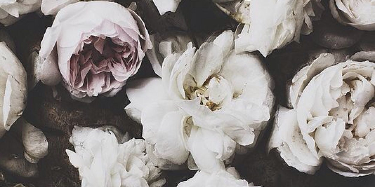 kayeezee's profile banner image