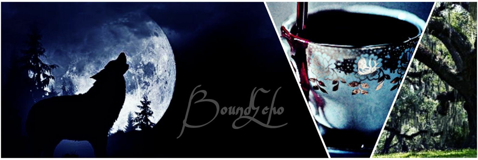 BoundEcho's profile banner image