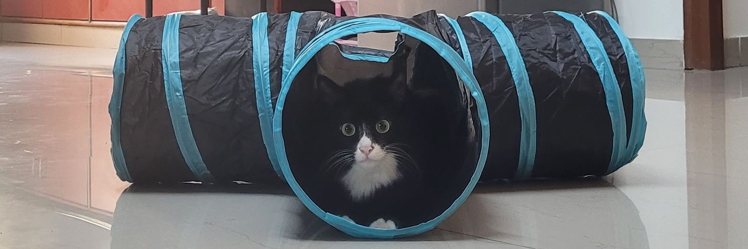 Pavan Srinath banner