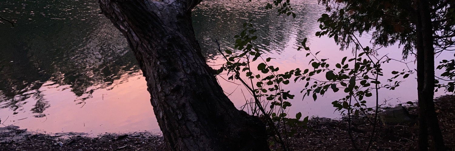 SeanLeizerovich's profile banner image