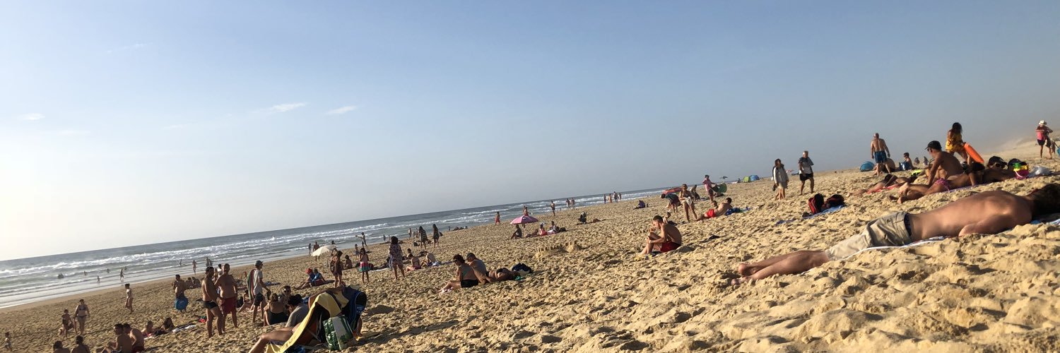 ❤️toto 🖤⭐️⭐️⭐️⭐️⭐️⭐️🏉 banner