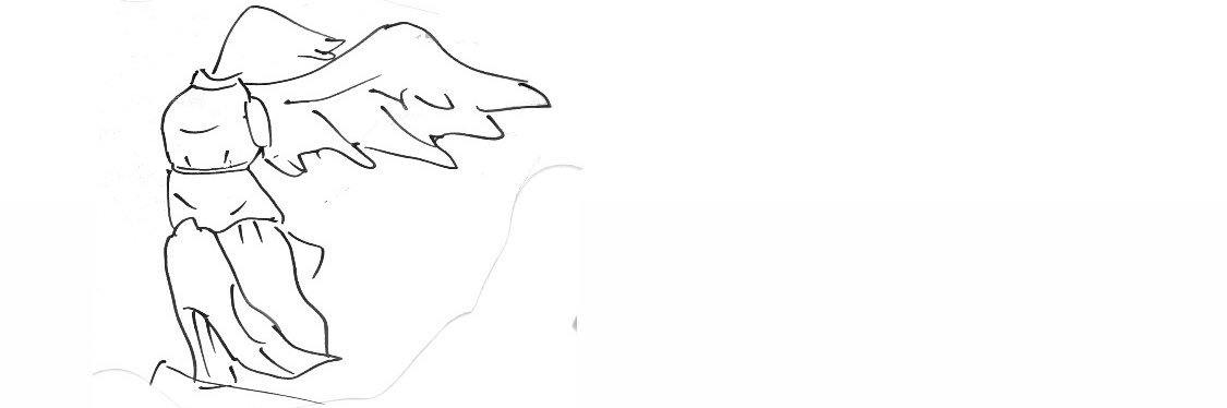 SaltLemon_cook's profile banner image