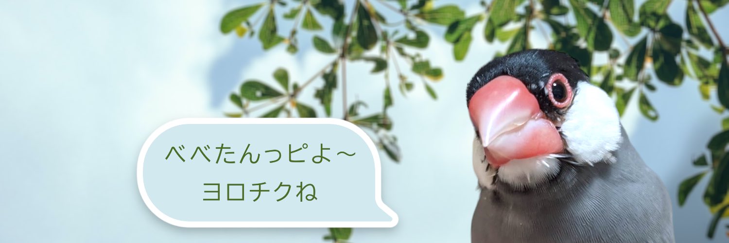 べべたんはオットット🌈虹の橋🐥💕 banner