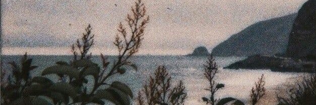 SedefPisken's profile banner image