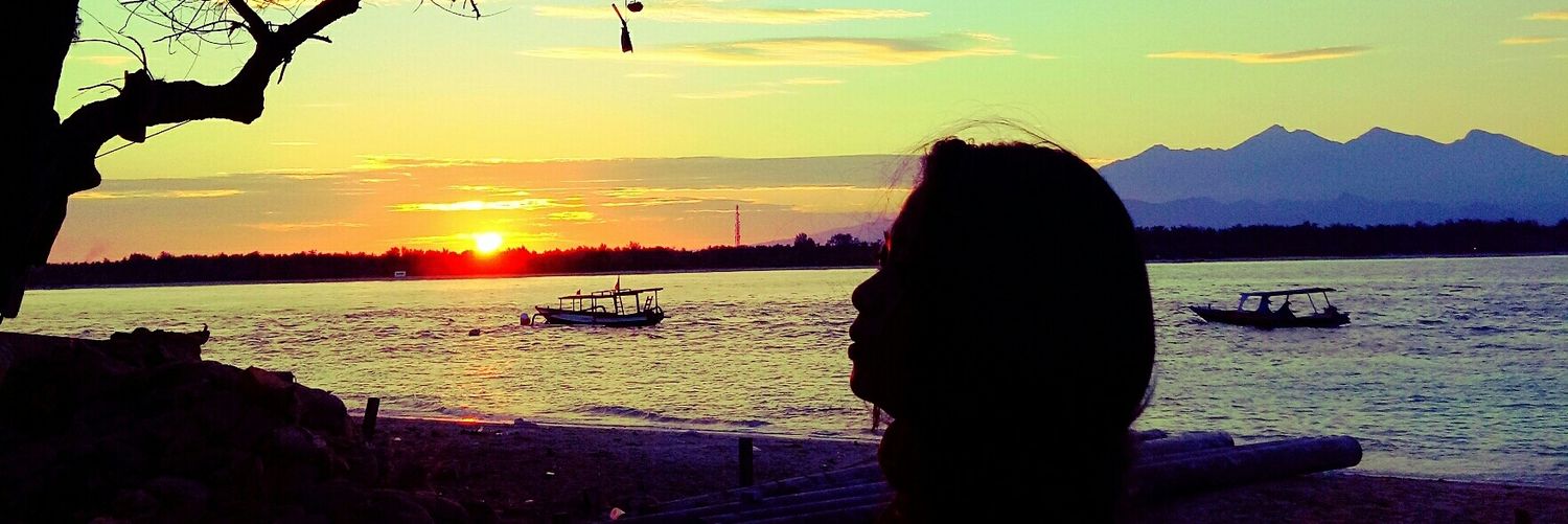 NithaZilla's profile banner image