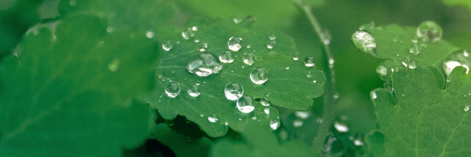 Enjoy | Robin - Marshals'Kiss banner