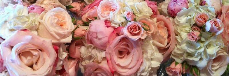 Scott Newberger banner