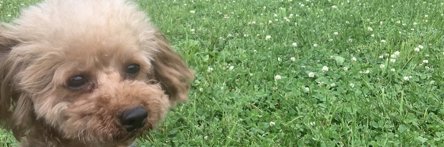 ちかりんご banner