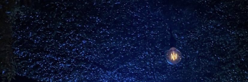 KalelVZ's profile banner image