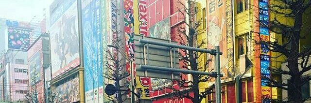 Selva banner