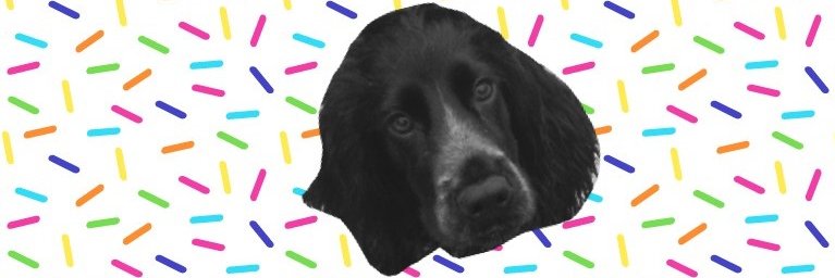 OllieCocker's profile banner image