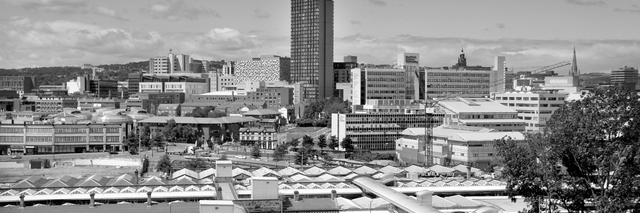 Sheffield Property Association banner