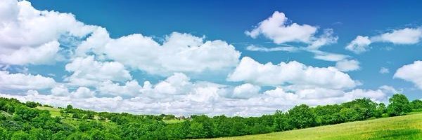 can0350's profile banner image