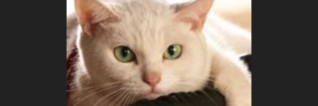 SRT75612715's profile banner image