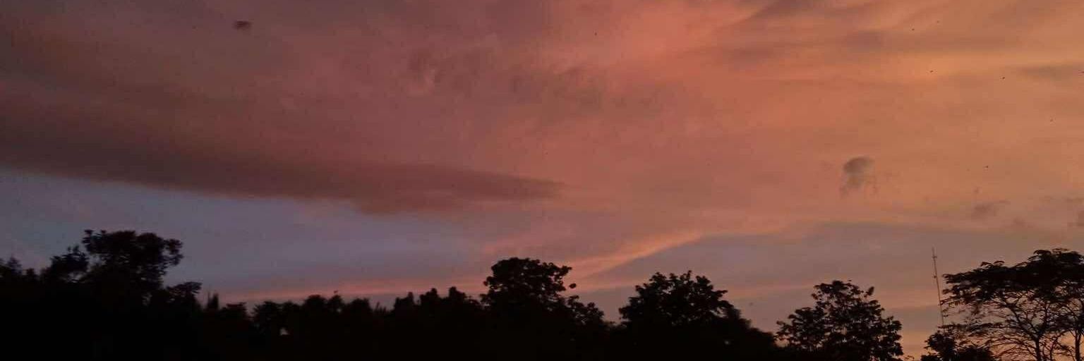 ; banner