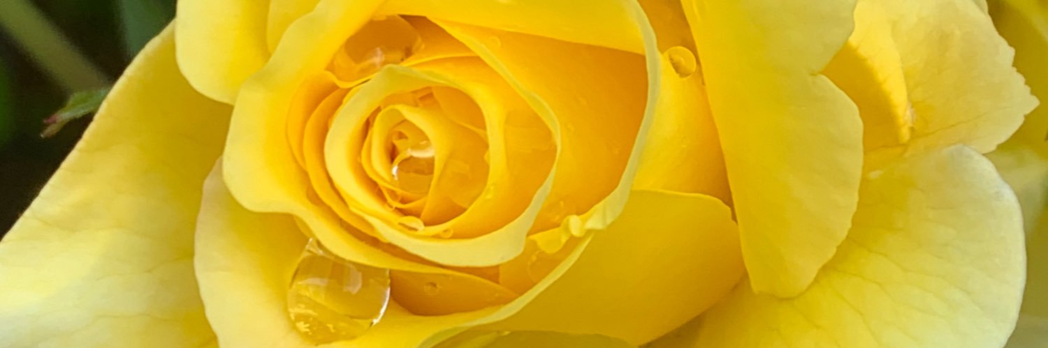 Gary Mc ⭐️⭐️⭐️⭐️⭐️⭐️ banner