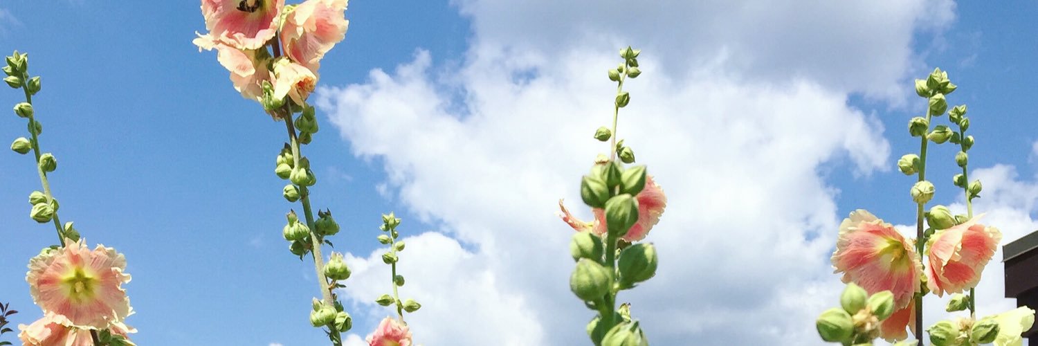 kathrynomics's profile banner image