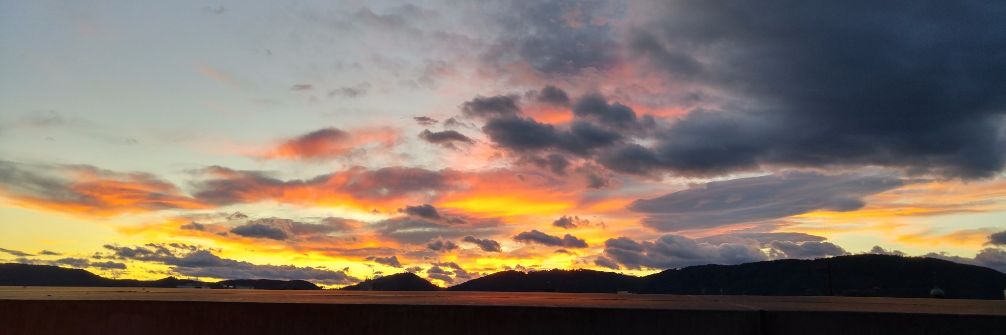 Martina Clemente banner