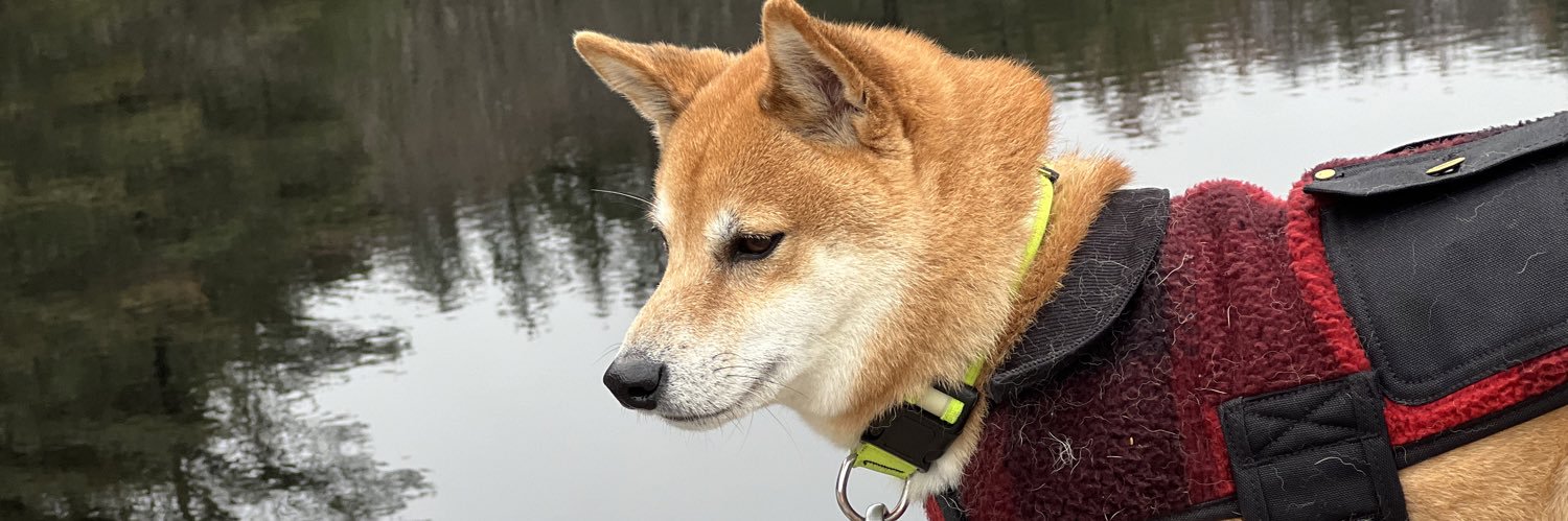 fernandoooooh's profile banner image