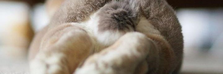 _Sernaleja's profile banner image