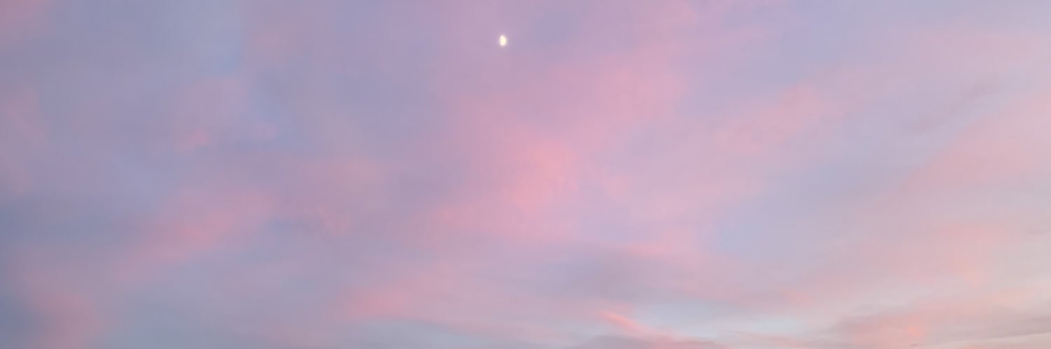 panDa_____88's profile banner image