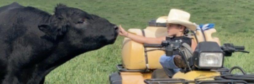 JoeyDion's profile banner image