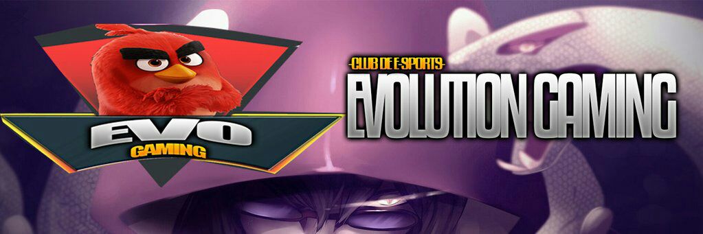 EvoeSports2's profile banner image