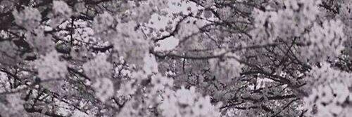 miloangett_'s profile banner image