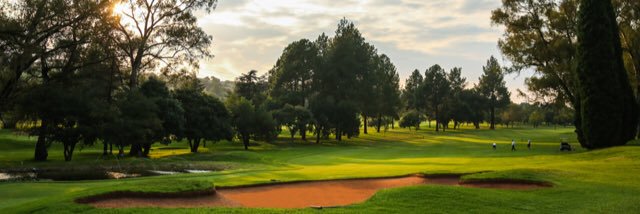 Wingate Park CC banner