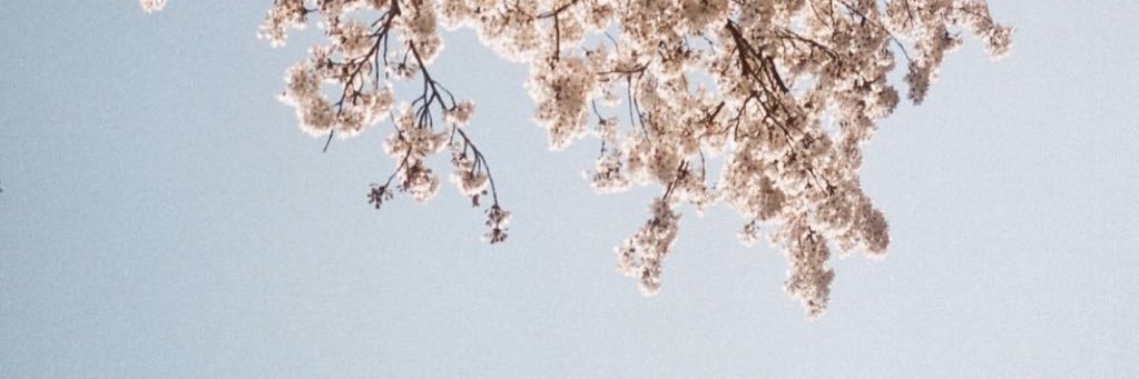 __mthv's profile banner image