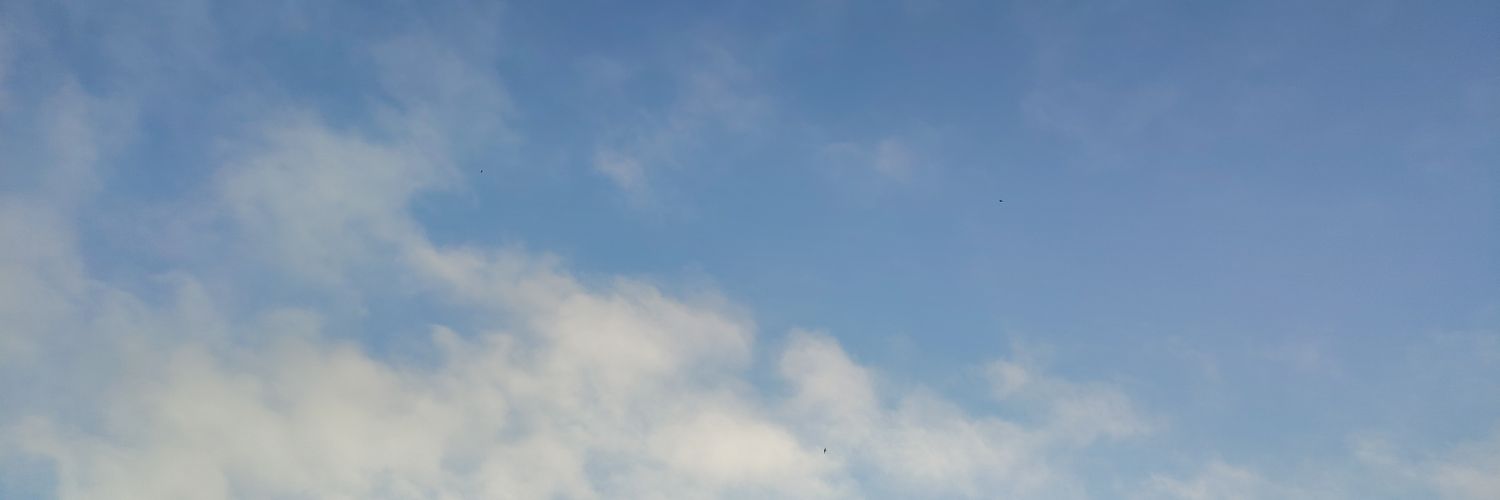luminism_'s profile banner image