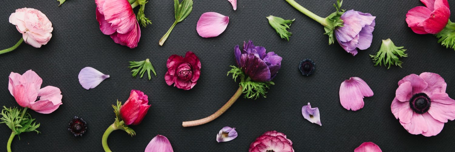 StudioCultivate's profile banner image