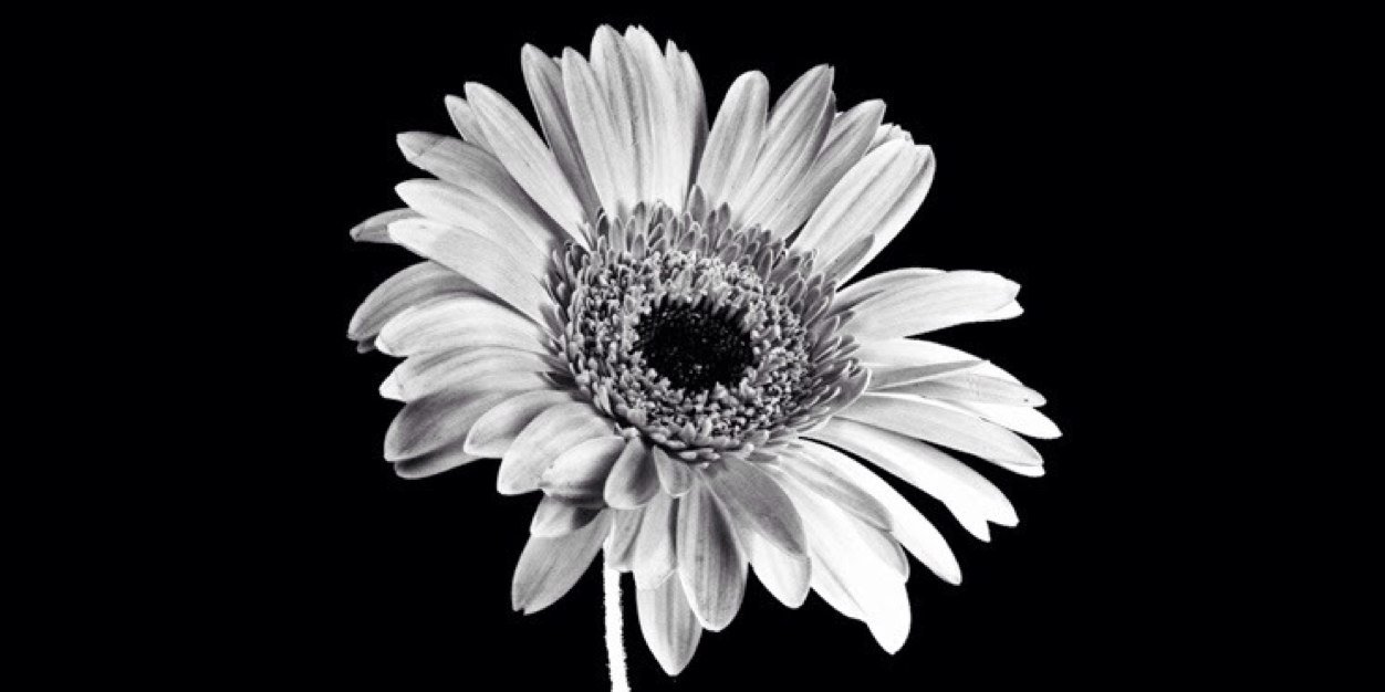 _CHEESHAN's profile banner image