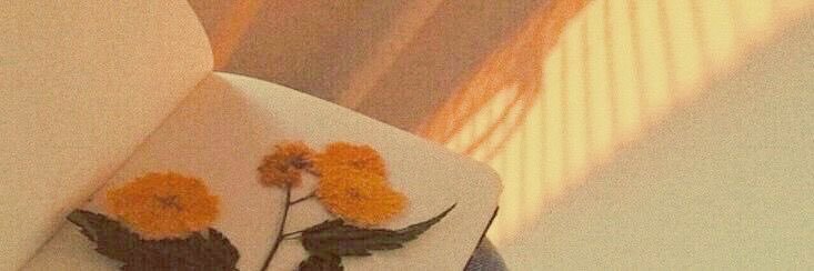 whyalwaysmilk's profile banner image