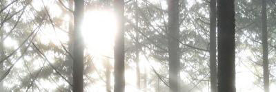 moon___00's profile banner image
