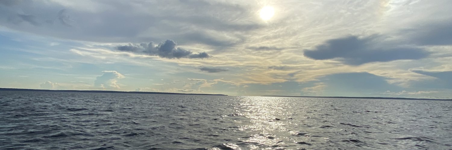 andreaperes's profile banner image