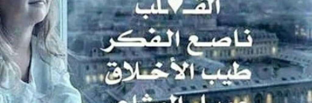 mona banner