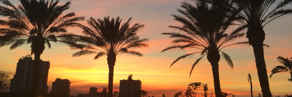 amybllack's profile banner image