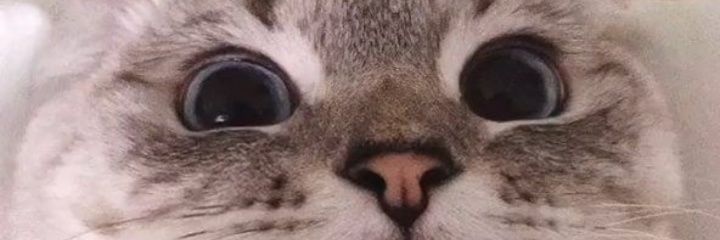 not84mee's profile banner image