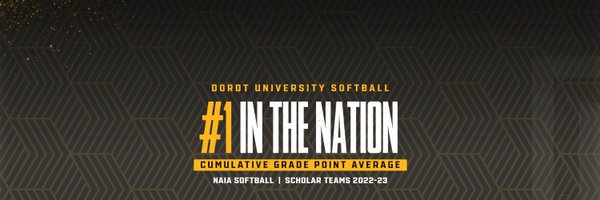 dordtsoftball Profile Banner
